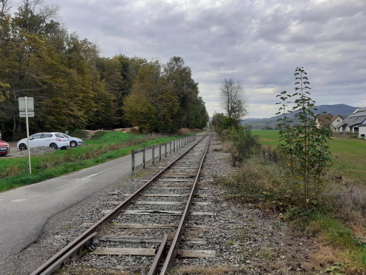 A L'Oree Du Bois Les Bouleaux Guewenheim Exteriér fotografie